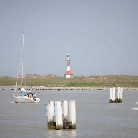 Apartment In Nieuwpoort With Sea View Appartement *